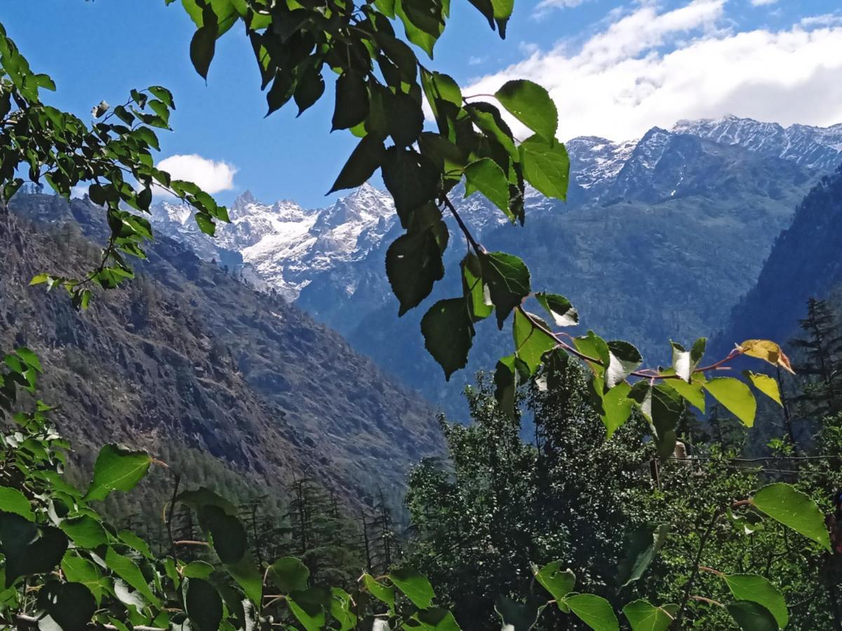 Kasol View Hotel Exterior photo